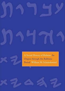 Social History of Hebrew book cover